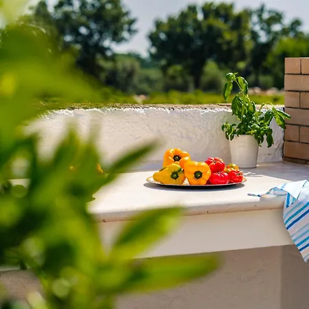 Helloapulia - Masseria Don Sisto Alberobello